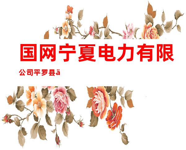 国网宁夏电力有限公司平罗县供电公司城关镇供电所